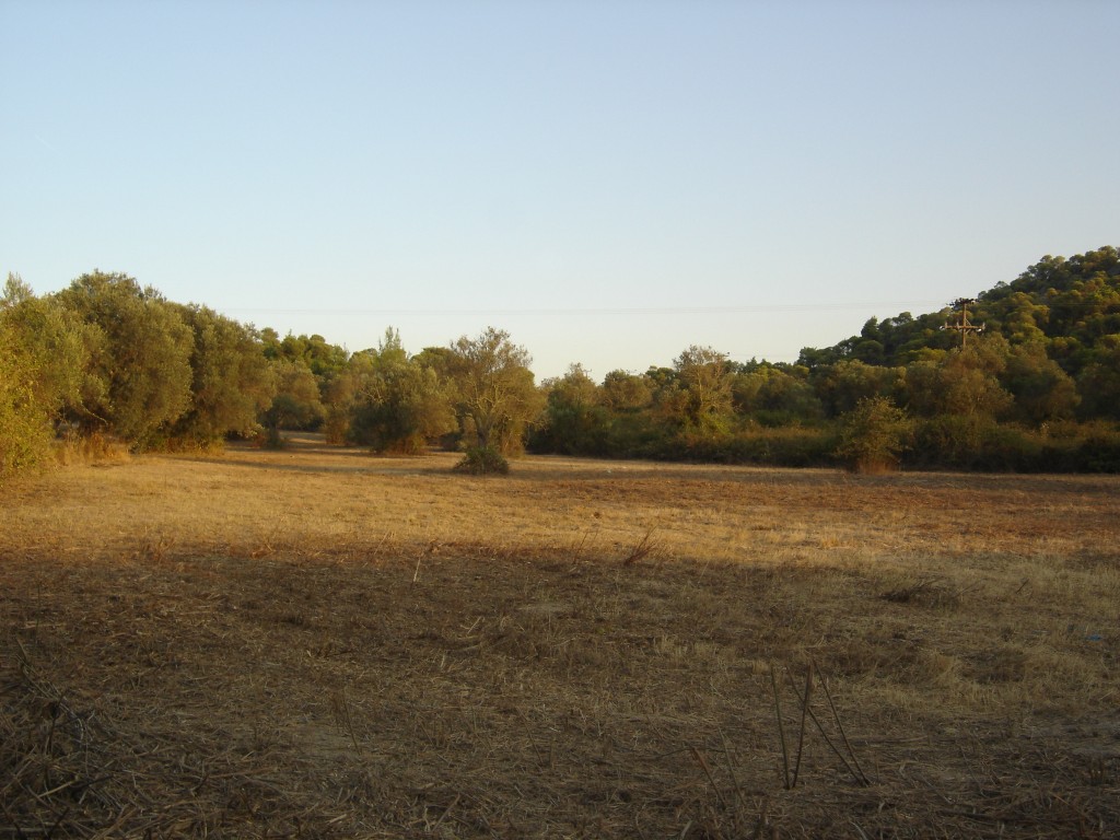 dimitrakia_vourvourou106 Medium.jpg